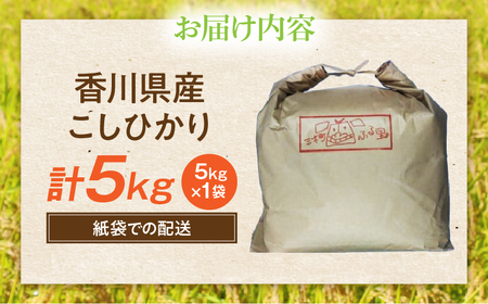 【令和7年産】香川県産こしひかり 5kg（紙袋配送）|新米 コシヒカリ こしひかり 5kg 米 白米 ごはん ご飯 朝食 白ご飯 おにぎり お弁当 おむすび お米 国産 美味しい ツヤ モチモチ 精米