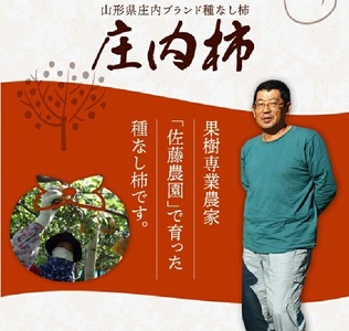 SA2715　果樹専業農家 佐藤農園の庄内柿　約5kg(29～31玉入)　L～2Lサイズ