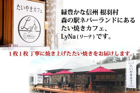 訳あり たい焼き つぶあん 10枚入り 羽根つき 大袋 わけあり