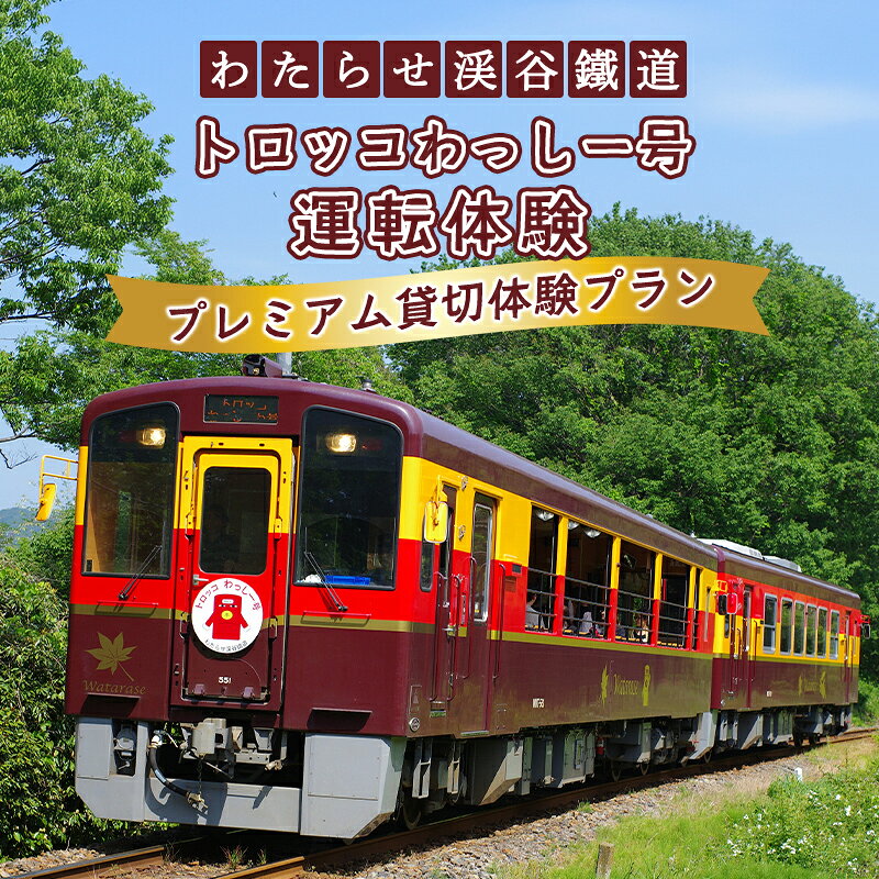 【ふるさと納税】【a221】わたらせ渓谷鐵道　トロッコわっしー号運転体験　プレミアム貸切体験プラン