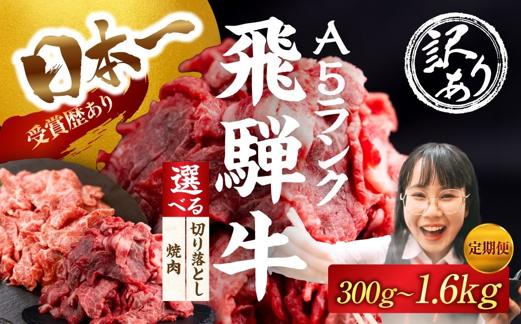 
                  ≪選べる 訳あり≫ 飛騨牛 A5 焼肉 300g ～ 1.2kg 定期便 3回 6回 12回｜選べる 回数 定期便 牛肉 肉 飛騨牛 A5 A5ランク A5等級 部位おまかせ 厳選部位 おまかせ お任せ 切り落とし 焼肉 焼き肉 選べる 牛肉 肉 飛騨牛 A5 A5ランク A5等級 部位おまかせ 厳選部位 おまかせ お任せ 切り落とし 焼肉 焼き肉 30000円 3万円 中部ミート 岐阜県 大垣市
                