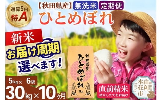 《令和8年産 新米受付》《定期便10ヶ月》【無洗米】通算5回特A 秋田県産ひとめぼれ 30kg(5kg×6袋)×10回  お届け周期調整 隔月に調整OK [米 無洗米 白米 特A 精米 秋田県 東北 お米 ひとめぼれ 小袋 小分け 直前精米 おいしい米 おすすめ]