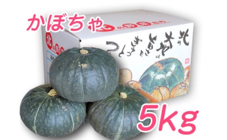 かぼちゃ 野菜 ブラックのジョー 中山農園 北海道富良野産 かぼちゃ【5kg】
