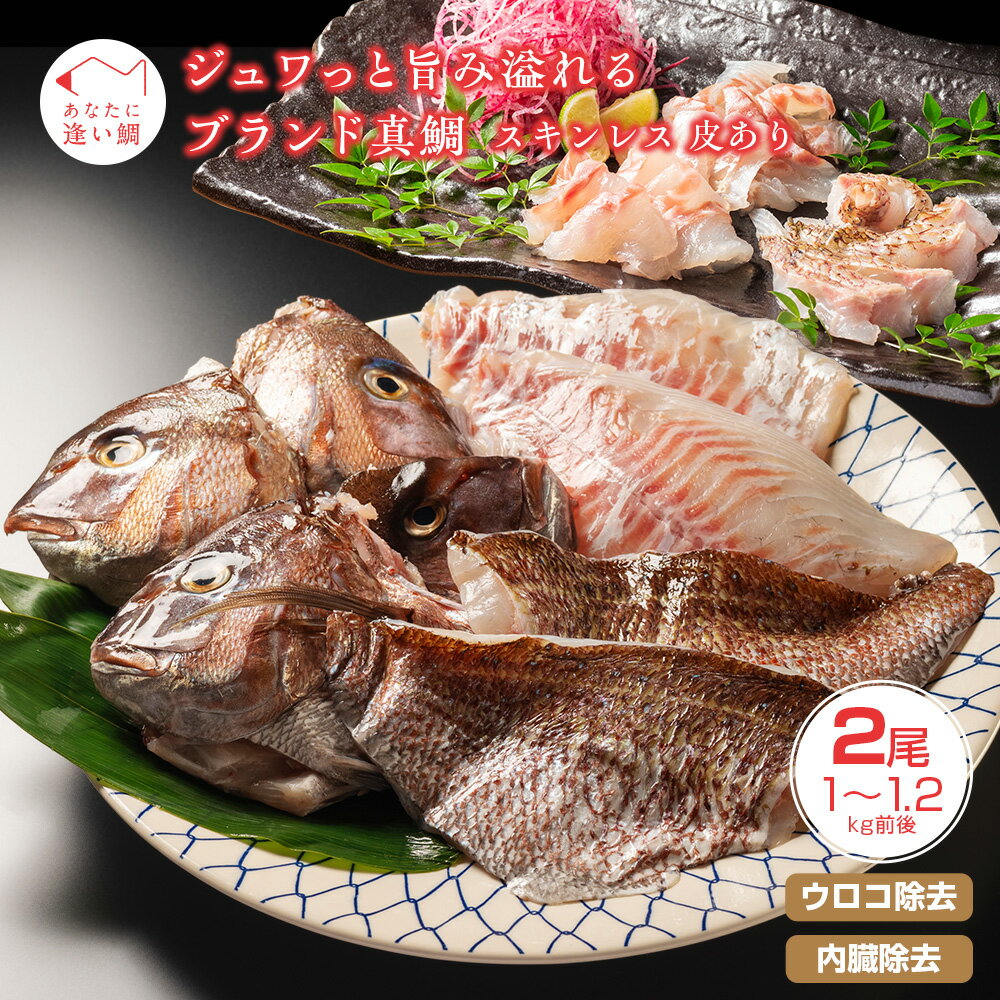 【ふるさと納税】 真鯛 タイ 2尾 3枚おろし 冷蔵 皮なし 皮あり セット スキンレス 新鮮 鮮魚 鯛 たい お刺身 刺身 しゃぶしゃぶ 鯛しゃぶ 鍋 鯛めし 鯛茶漬け 炙り 塩焼き ブランド 三重県 南伊 勢町 伊勢 志摩 ジュワっと旨み溢れるブランド真鯛 はさま あなたに逢い鯛