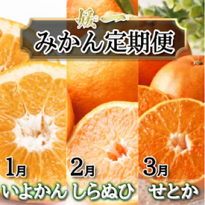 【発送月固定定期便】愛媛が誇る旬の柑橘めぐり（いよかん・しらぬい・せとか）【28-54】全3回 みかん ミカン  いよかん 伊予柑 不知火 しらぬい デコ せとか 柑橘 柑橘類  フルーツ 果物 くだもの 人気 美味しい 愛媛県 八幡浜 ふるさと 定期 YWTN042