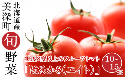 
[№5894-0593]【2024年発送】糖度8度以上 フルーツトマト はるか8（エイト）10～15玉 北海道 美深町産 トマト 野菜 夏
