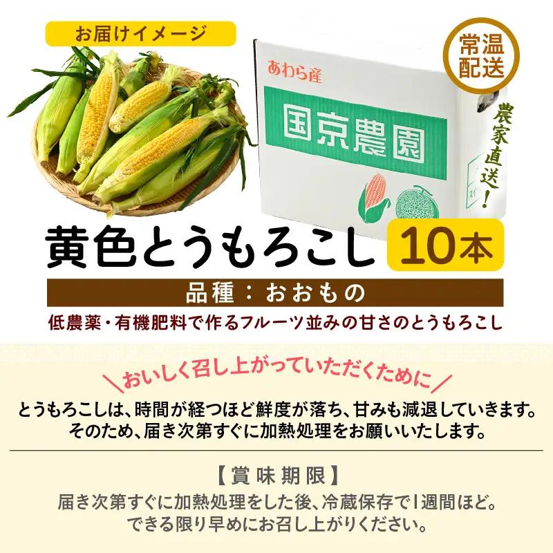 【先行予約】朝採り スイートコーン 黄色 計10本 おおもの ／ ハウス栽培 低農薬 有機肥料 フルーツ並みの甘さ 甘い とうもろこし 野菜 あわら ※2026年10月上旬より順次発送 [aw067-