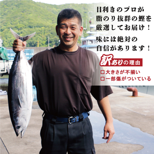 訳あり かつお たたき 3kg 15000円 訳あり ｻｲｽﾞ 不揃い 訳あり 規格外 訳あり かつお 傷 訳あり ｶﾂｵ 小分け 訳あり ｶﾂｵ 真空 ﾊﾟｯｸ 訳あり ｶﾂｵ 新鮮 訳あり ｶﾂｵ