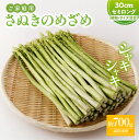 【ふるさと納税】ご家庭用 さぬきのめざめセミロング30cm(細物・サイズ混合) 約700g【2025-3月上旬～2025-6月下旬配送】 | 香川県 オリジナル 品種 アスパラガス 野菜 シャキシャキ 甘い 瀬戸内 香川県 高松市