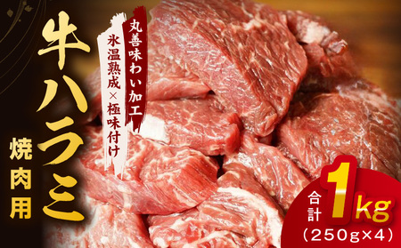 牛肉 ハラミ 1kg 小分け 250g×4P【氷温熟成×極味付け 味付き 牛肉 訳あり 不揃い 焼肉 BBQ 野菜炒め】