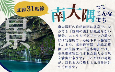 【返礼品なしの寄附】鹿児島県南大隅町 1口: 100万円 MN-17 │ 鹿児島県 南大隅町 寄付 寄附 応援 支援 応援寄付金 支援寄付金 寄付のみ 返礼品なし 返礼品なしの寄付 1,000,000