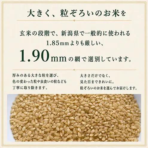 【先行予約】令和8年産 特別栽培米コシヒカリ 20kg新潟県田上町