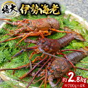 【ふるさと納税】 伊勢海老 特大 約2.8kg 約700g×4尾 伊勢えび 伊勢エビ いせえび イセエビ 海老 えび エビ 海鮮 海産物 海の幸 おせち 高級 国産 海鮮 ギフト 【11月以降にお届け／要配送日指定】