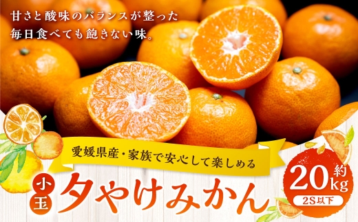 【 家族でたっぷり楽しめる、愛媛の小粒みかん 】 夕やけみかん （ 小玉 ） 約20kg みかん ミカン 柑橘 柑橘系 柑橘類 くだもの 果物 フルーツ 果実 果汁 果肉 国産 愛媛県産 【 2026年10月下旬-2027年1月下旬発送予定 】 ( 1109 )