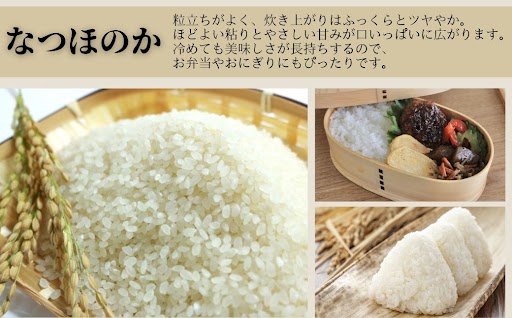 農家直送 令和7年産 新米 鹿児島県産 なつほのか 10kg 国産 自家精米 精米 白米 ごはん ご飯 お米 コメ こめ【悠希農園】