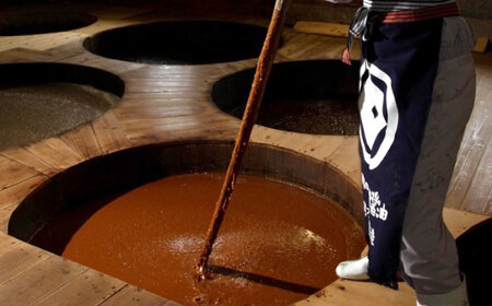 調味料 寺岡家の杉桶仕込蔵出し詰合せ 寺岡家の国産有機丸大豆醤油蔵出し 500ml×2本 しょうゆ 料理 無添加 広島県福山市/寺岡有機醸造株式会社[BADT006]