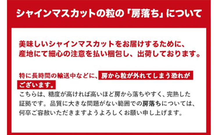 【2025年出荷先行予約】 厳選 シャインマスカット 訳あり 約2.6kg ぶどう マスカット フルーツ 先行予約 2025  果物 岡山 不揃い 晴王 ブドウ ご家庭用 シャイン 先行予約 お手頃-