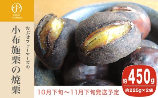 
                  100％小布施栗の焼栗 約450g ［おぶせファーマーズ］ 果物 フルーツ 栗 くり 焼き栗 長野県産 信州産 令和8年産【2026年10月下旬～11月下旬発送】 ［F-36］
                