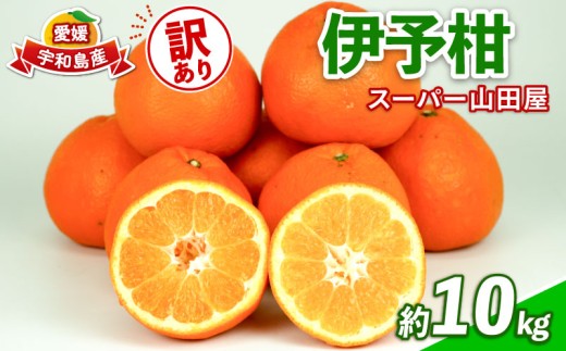 みかん 訳あり 伊予柑 いよかん 約10kg スーパー山田屋 先行予約 果物 くだもの フルーツ 柑橘 mikan 蜜柑 愛媛蜜柑 愛媛みかん わけあり サイズ 不揃い 産地直送 数量限定 国産 愛媛 宇和島 B016-198006