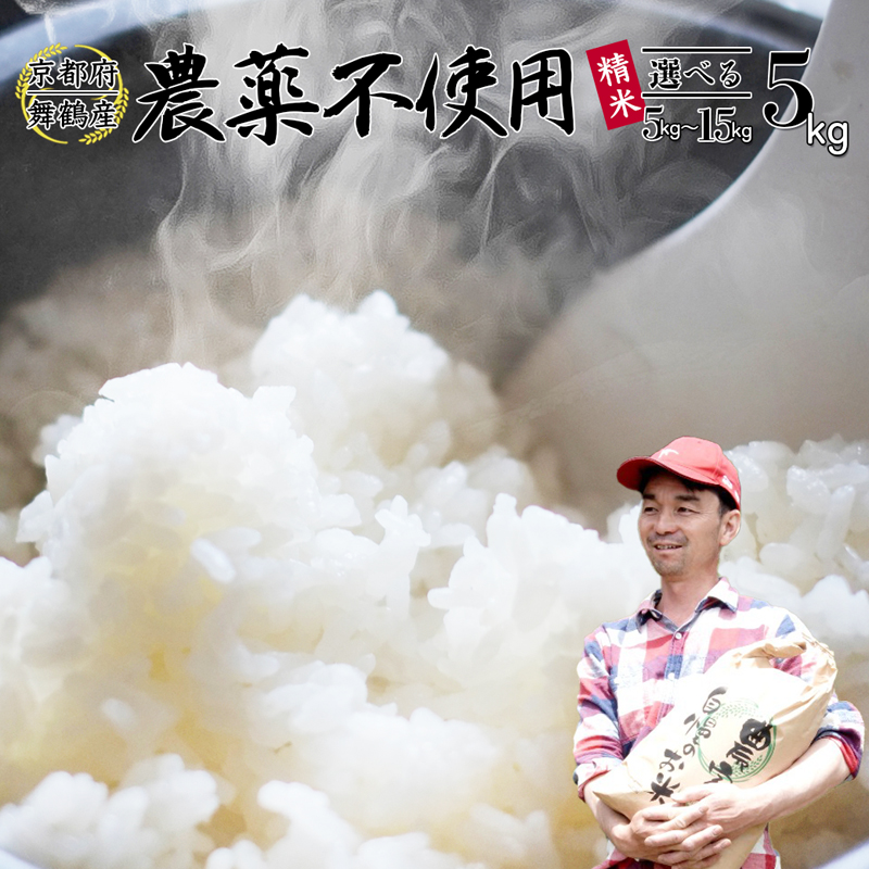 【令和7年度産 新米 先行予約】 棚田米 5kg 精米 ： コシヒカリ 栽培期間中農薬不使用 京都産 お米 農家直送 こしひかり 米 ご飯 白米 無農薬 栽培 棚田 無農薬米 おいいしお米 無農薬コシヒカリ 無農薬こしひかり