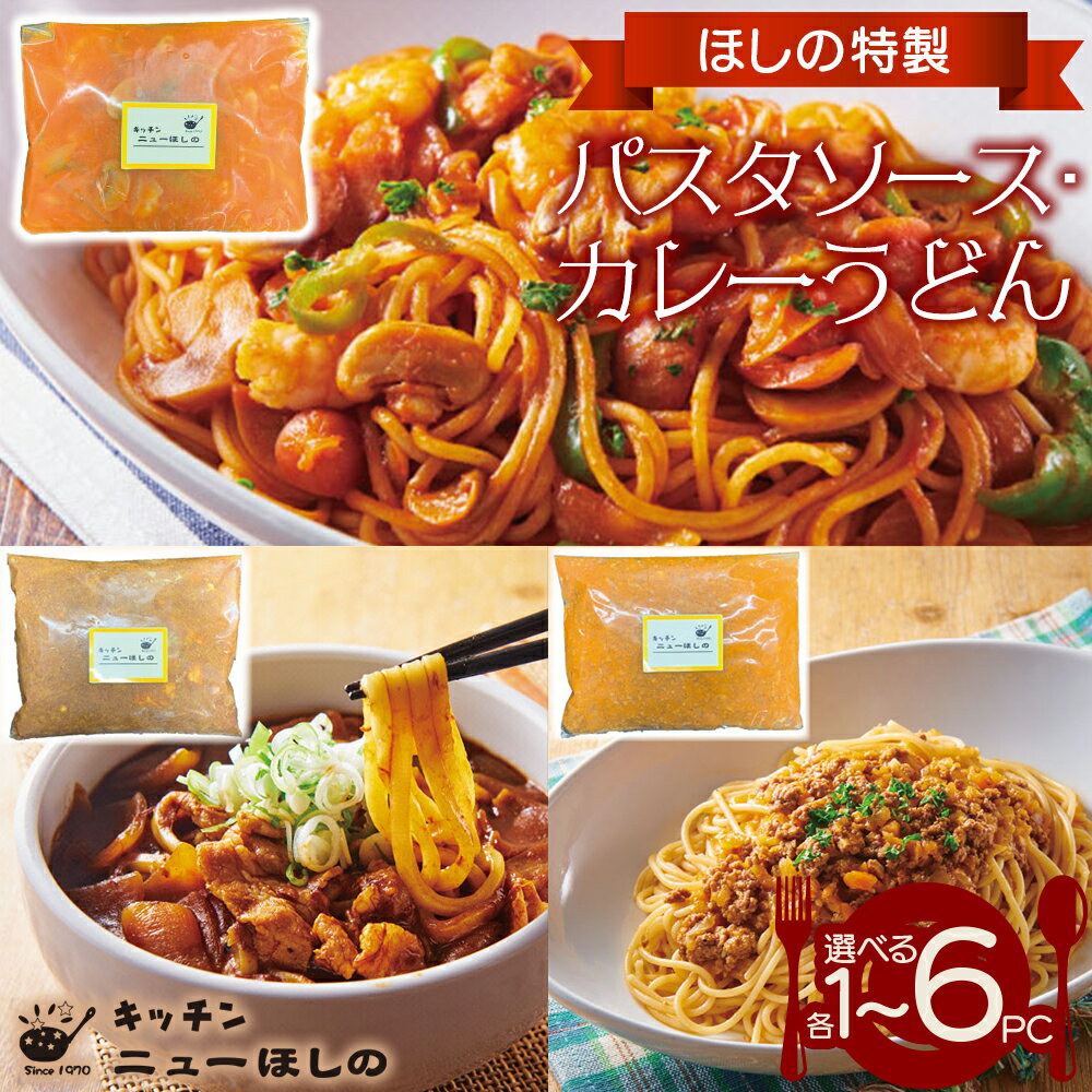 【ふるさと納税】キッチン ニューほしの 麺セット【3種×各1～6パック】