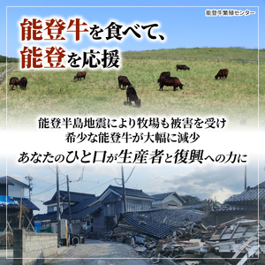 【切り落とし】 和牛 500g 切り落とし 能登牛【 災害支援 復興支援 】