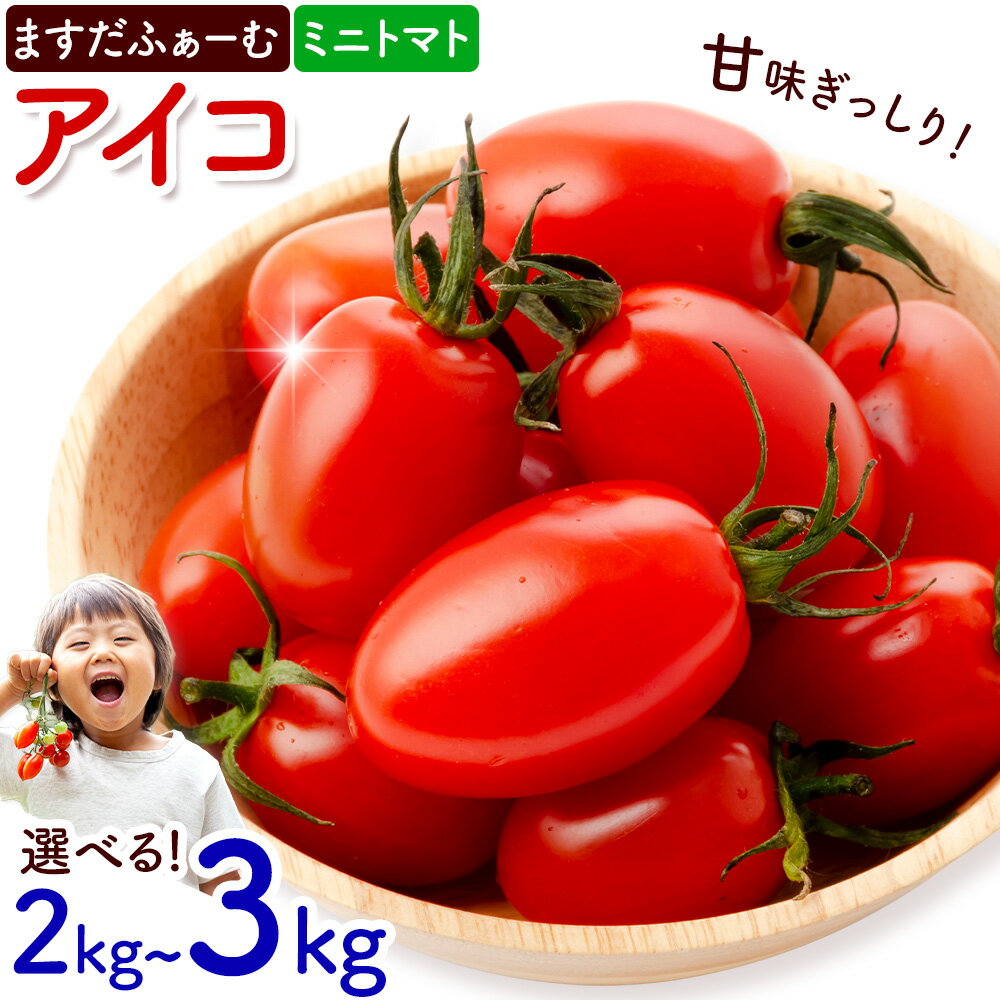 【ふるさと納税】ミニトマト アイコ 約2kg 約3kg ますだふぁーむ《7月上旬-11月末頃出荷》熊本県 南阿蘇村 アイコトマト 野菜 旬 夏野菜 トマト
