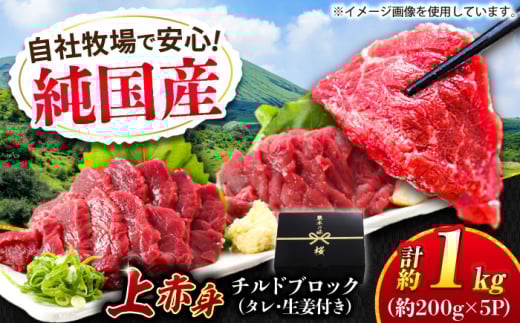 『純国産』熊本の味 上赤身 馬刺し 計約1kg（約200g×5パック）ブロック チルド 冷蔵 タレ付き 【有限会社 九州食肉産業】 [AYCN036]
