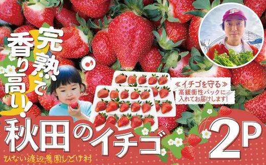 完熟で香り高い！秋田のイチゴ 2パック ＜揺りかごパック＞　 90P3403【ひない渡辺農園しどけ村】