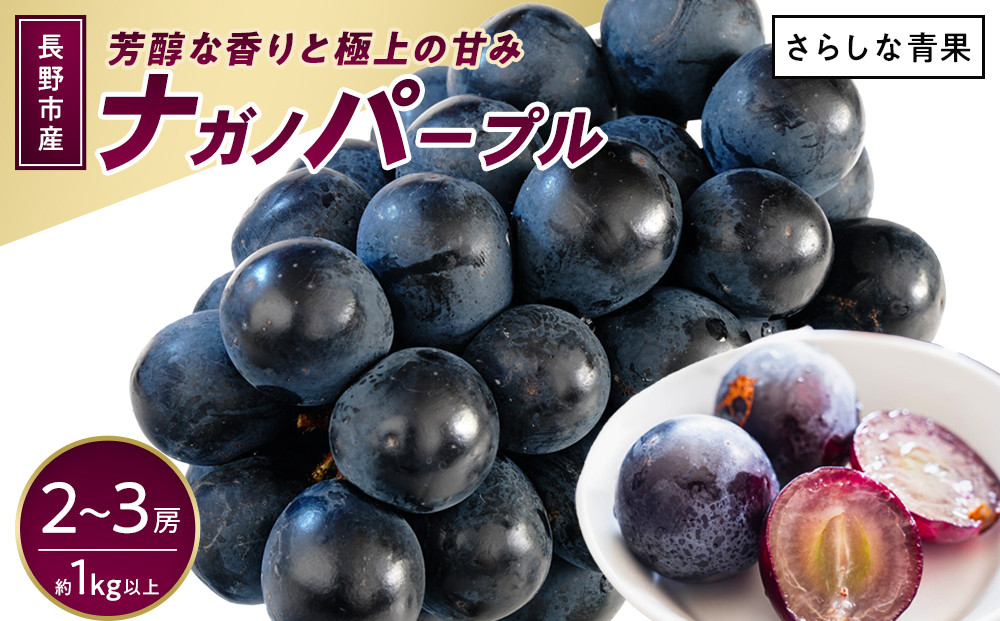 ナガノパープル約1kg 以上【2026年9月以降発送予定】(さらしな青果) |  ぶどう ナガノパープル  オリジナル 人気 おすすめ 葡萄 ブドウ フルーツ 果物 種なし 皮ごと 大粒 旬 ギフト 