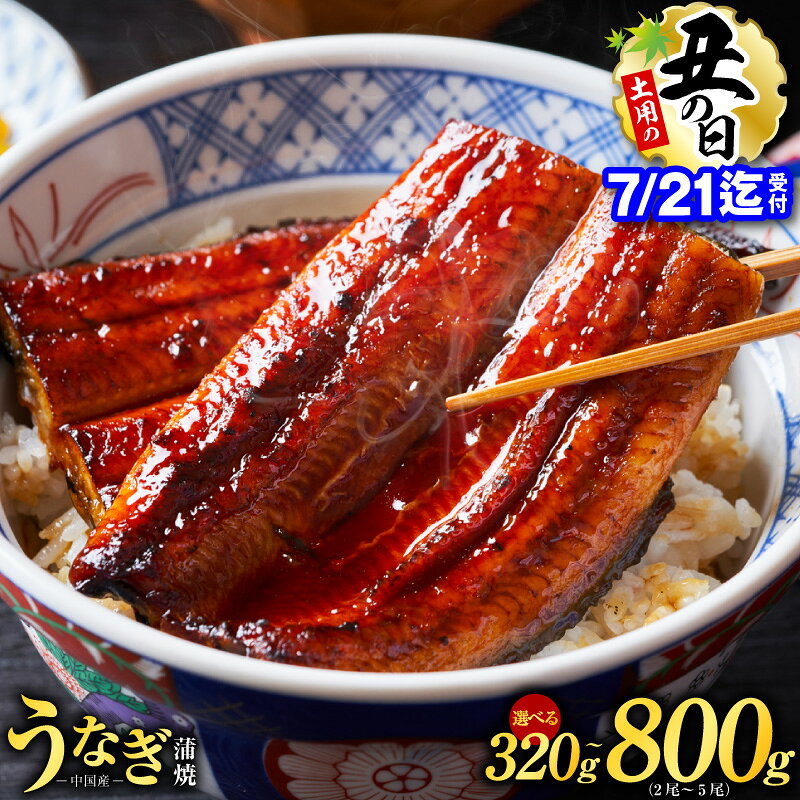 秘伝のたれ仕込み うなぎ蒲焼 合計320g（約160g×2尾）