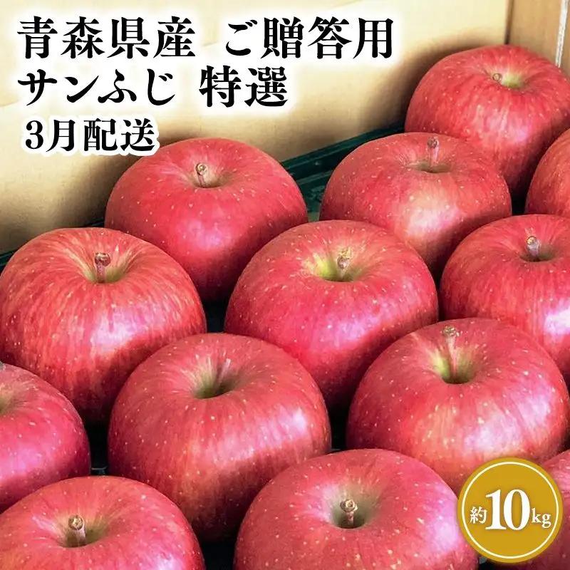 りんご 特選 サンふじ10㎏ 【hi-0054-004-3】