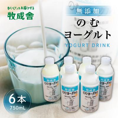 ふるさと納税 飛騨市 飛騨の牛乳屋・牧成舎の飛騨産生乳100%と砂糖のみで作った飲むヨーグルト6本