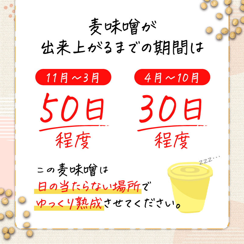 「かねよ みそ しょうゆ」麦味噌手作りキット 1kg　K058-004_01