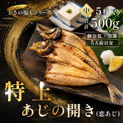 ふるさと納税 大月町 あじの開き 恋あじ 中 5枚入り 500g 高級干物 アジ干物 焼き魚 個包装 冷凍 天日塩 贈答