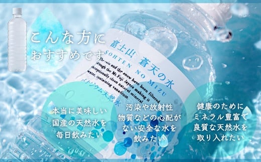 【12カ月定期便】＜ラベルレス＞富士山蒼天の水 500ml×48本（２ケース） YC007_イメージ3