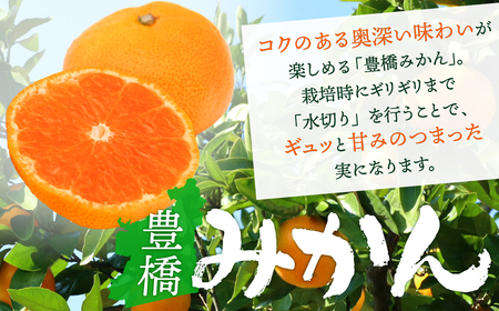 温州みかん ご家庭用 5kg みかん ミカン 蜜柑 mikann  