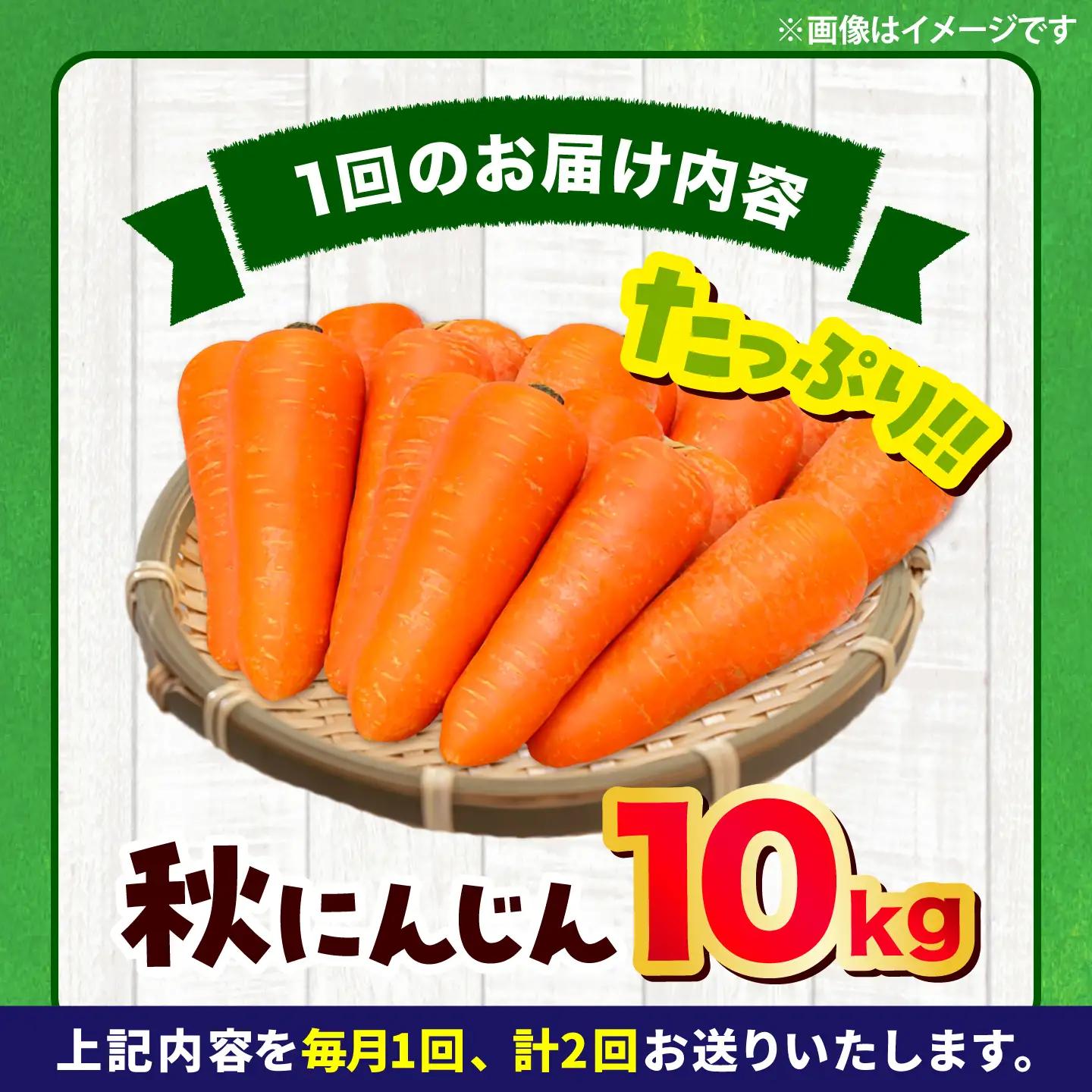 【先行予約】【2026年12月順次発送開始】【全2回定期便】秋にんじん10kg / にんじん ニンジン 野菜 β-カロテン 食物繊維 抗酸化作用 栄養満点 熊本県産 菊陽町　【株式会社 まゆみ農園】[