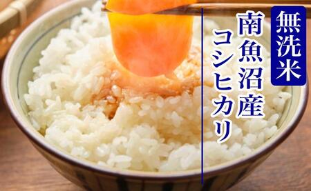 【新米予約・令和7年産】定期便12ヶ月：無洗米5kg南魚沼産コシヒカリ【2025年10月上旬より順次発送予定】