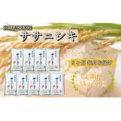 ふるさと納税 栗原市 【毎月定期便】ササニシキ白米5kg(5kg×1袋) 宮城県栗原産全9回