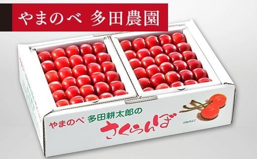 
【紅秀峰】本詰 約500g×2【やまのべ多田耕太郎のさくらんぼ 多田農園】
