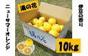 【ふるさと納税】予約受付 湯の花 伊豆の香り ニューサマーオレンジ 10kg箱 10kg フルーツ 柑橘系 柑橘 甘い 静岡 南伊豆 道の駅 直売所