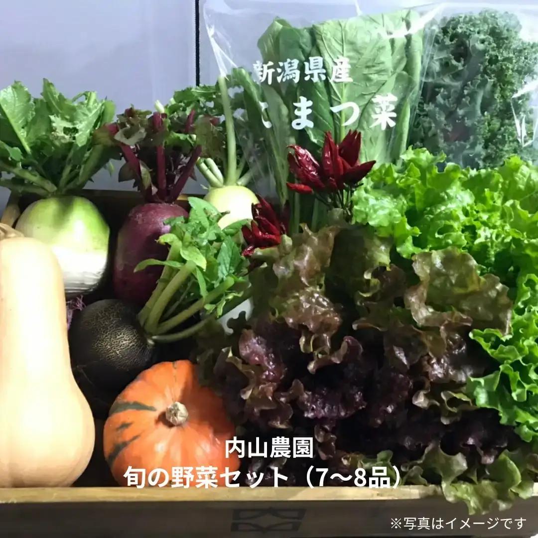 旬の野菜セット(7～8品) 季節の野菜 詰合せ [内山農園] 【011S166】