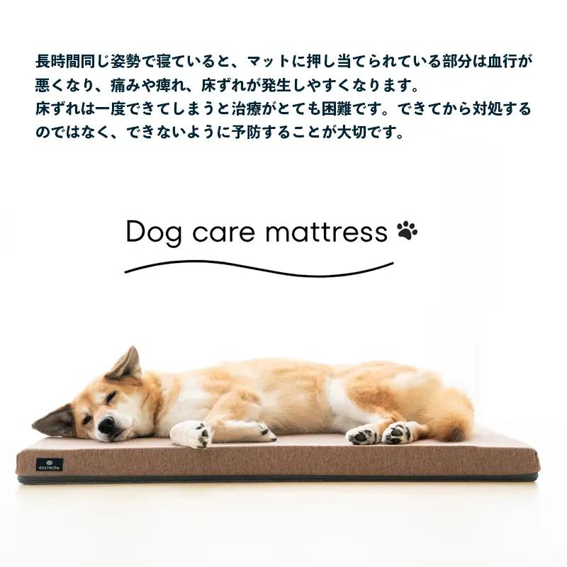Dog ケアマットレス Mサイズ ： ペット用品 ペット介護 ペットマット ジェルトロン
