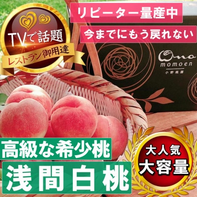 【2027年発送先行受付】市場にほぼ出回らない浅間白桃☆品種指定ギフト5年連続TV出演話題ブランド【配送不可地域：離島・北海道・沖縄県・中国・四国・九州】