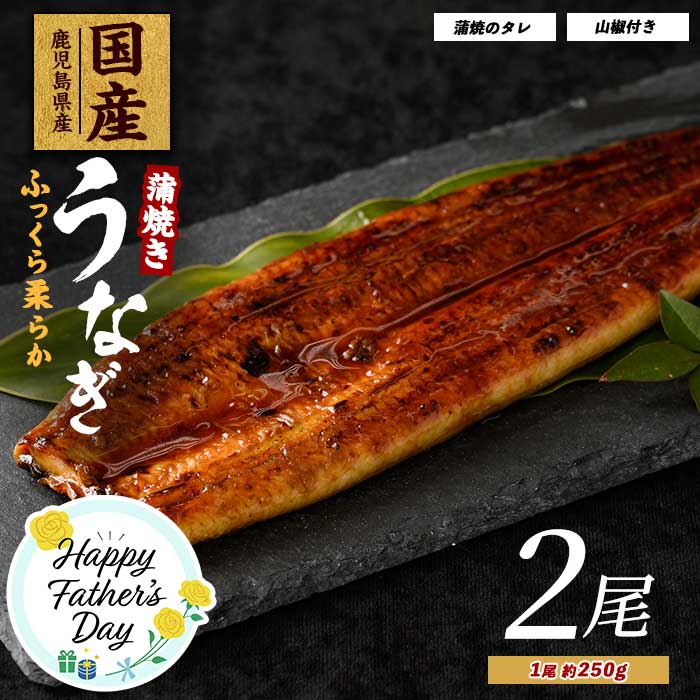 【ふるさと納税】【父の日におすすめ】6/8までのお申込みで6/13〜6/15にお届け！＜選べるサイズ・定期便＞鹿児島県産うなぎ蒲焼き ふっくら肉厚 約250g 2〜4尾セット木目化粧箱入（特製タレ・山椒付き） うなぎ 鰻 ウナギ 蒲焼 蒲焼き かばやき 肉厚 たれ付き 山椒付き うな
