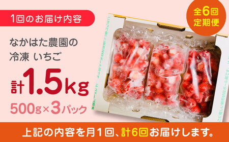 【全6回定期便】【数量限定】 熊本県産 冷凍イチゴ 計1.5kg ( 500g × 3P ) 熊本県産いちご 山都町産いちご 家庭用いちご フローズンいちご いちご国産いちご 熊本県産いちご 九州産い