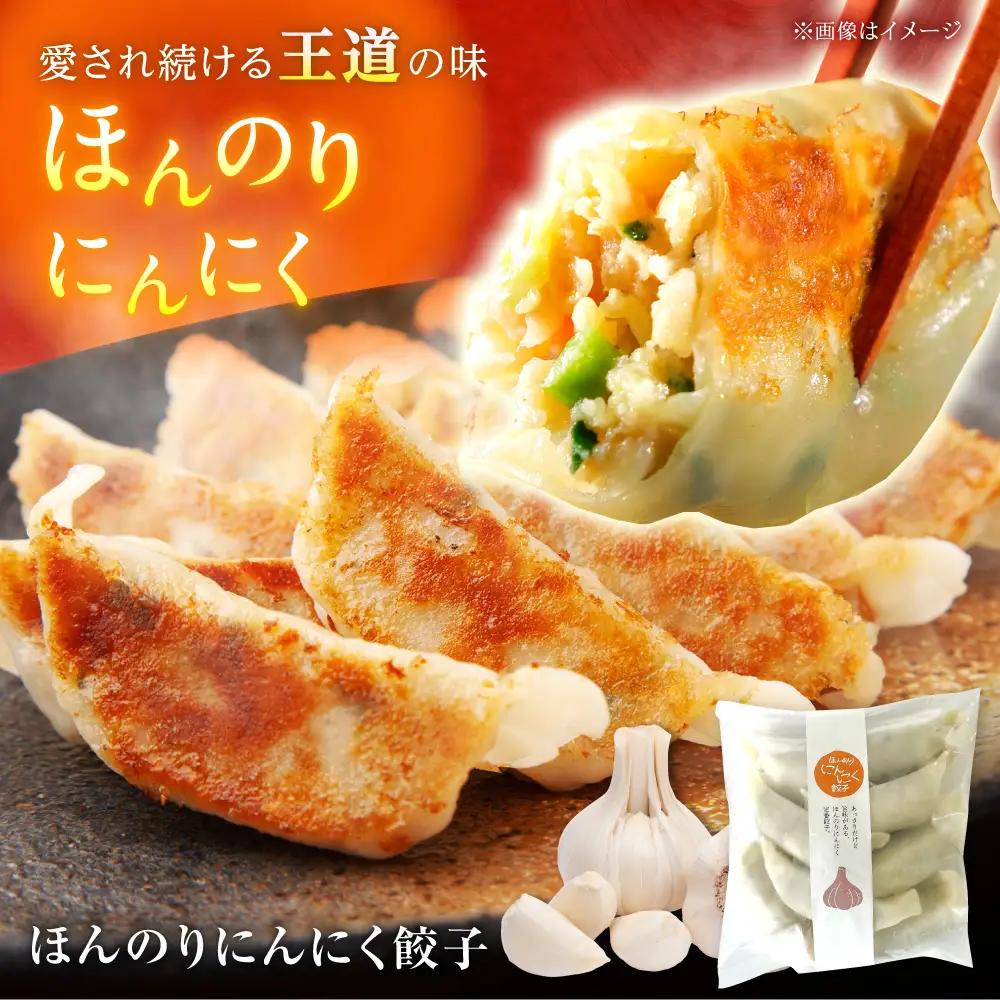 餃子屋ヒロの3種食べ比べセット 餃子 ぎょうざ 【ふるなびWEEK対象】[BDAS002] 