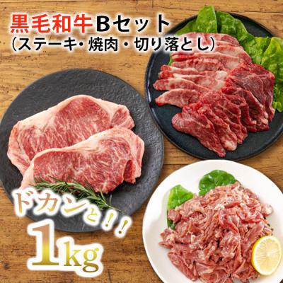 ふるさと納税 高原町 【宮崎県産】黒毛和牛Bセット1kg[ステーキ 焼肉 切り落としの3点セット] TF562
