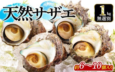 ＜平日着※指定日不可＞天然サザエ(1kg・無選別)  海鮮 さざえ サザエ 肉厚 刺身 壺焼き 酒蒸し しゃぶしゃぶ 海の幸【sm-DD010-A】【Workplays】